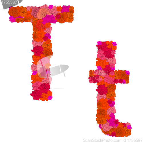Image of Flower alphabet of red roses, characters T-t