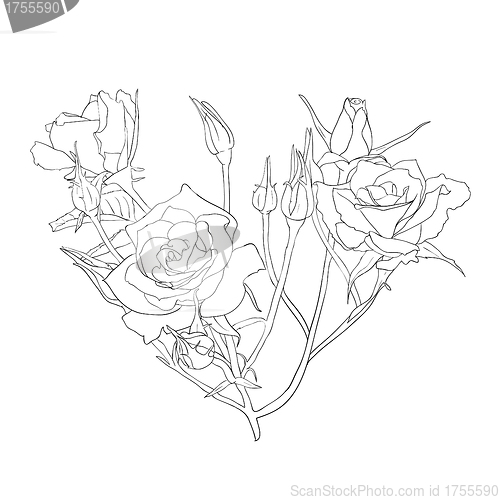 Image of floral design element and hand-drawn , vector illustration