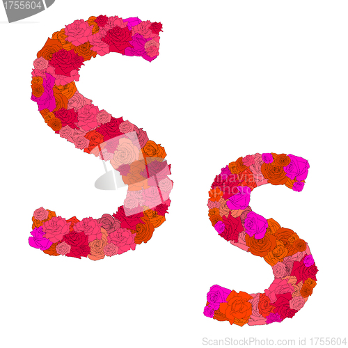 Image of Flower alphabet of red roses, characters S-s