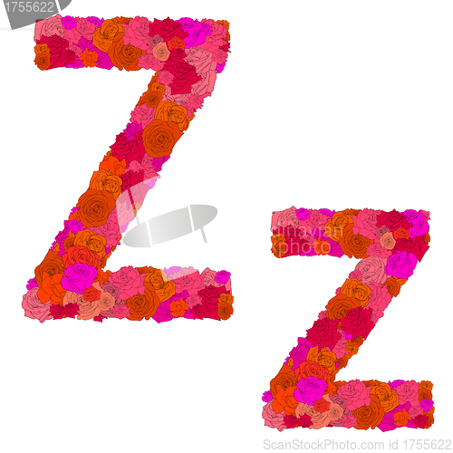 Image of Flower alphabet of red roses, characters Z-z