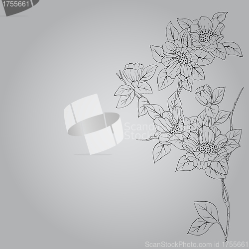 Image of hand drawn background with a fantasy flower