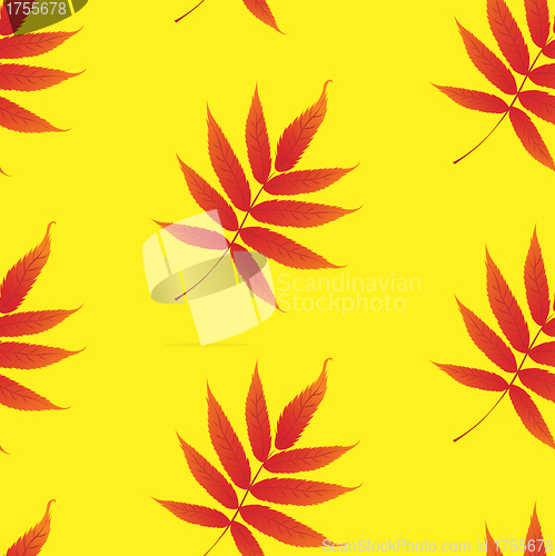 Image of Wallpaper with curling leaves of a plant
