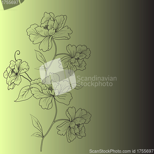 Image of eps10 hand drawn background with a fantasy flower