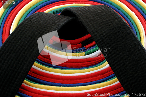 Image of Martial Arts Belts - circle