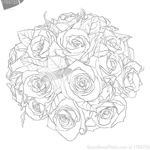 Image of floral design element and hand-drawn , vector illustration