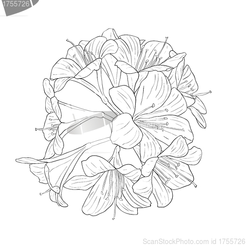 Image of floral background with blooming lilies