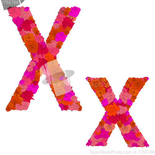 Image of Flower alphabet of red roses, characters X-x