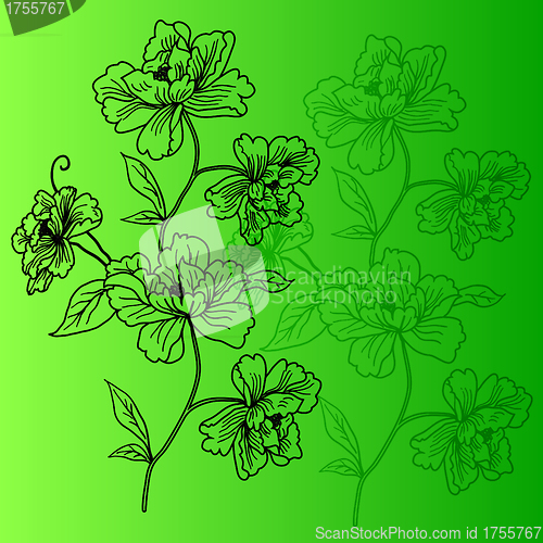 Image of eps10 hand drawn background with a fantasy flower