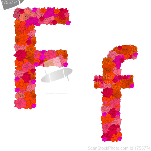 Image of Flower alphabet of red roses, characters F-f