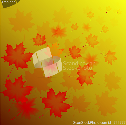Image of abstract flora background