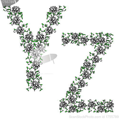 Image of Hand drawing ornamental alphabet. Letter YZ