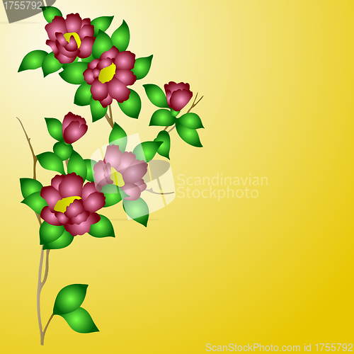 Image of  hand drawn background with a fantasy flower