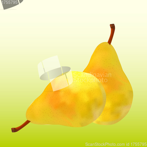 Image of  two  pears