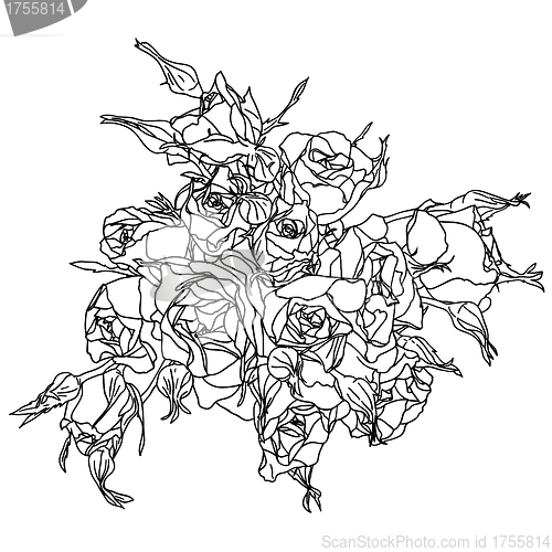 Image of floral design element and hand-drawn , vector illustration