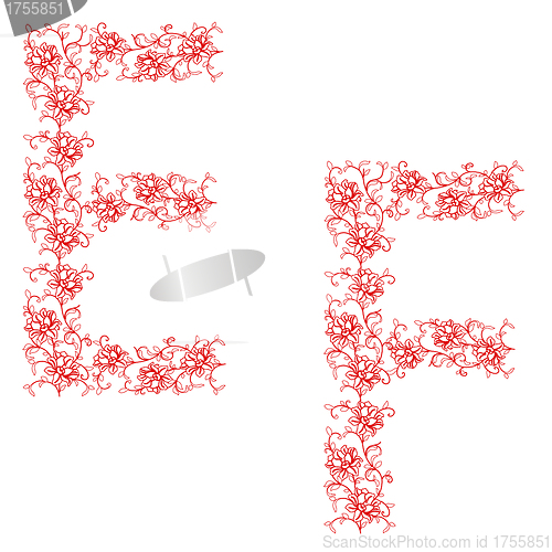 Image of Hand drawing ornamental alphabet. Letter EF