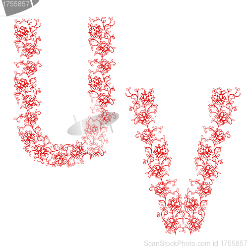 Image of Hand drawing ornamental alphabet. Letter UV