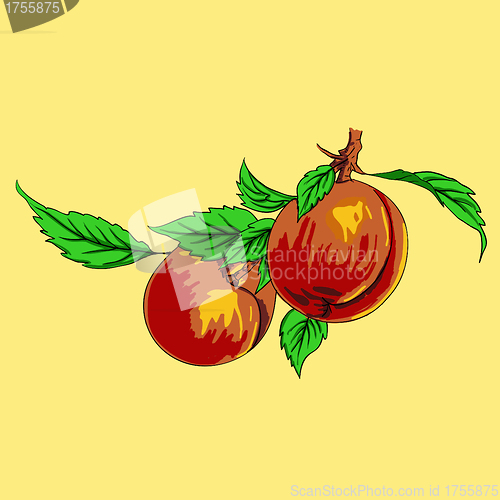 Image of Two peaches with leaves on a branch on a light background