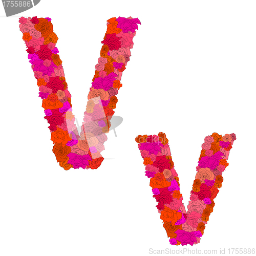 Image of Flower alphabet of red roses, characters V-v