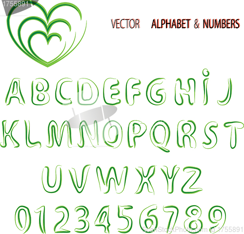 Image of Vector herbal alphabet and numbers