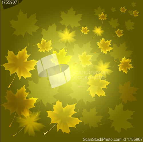 Image of abstract flora background