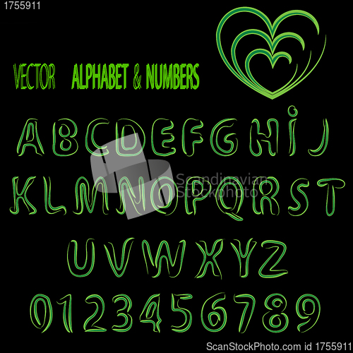 Image of Vector herbal alphabet and numbers