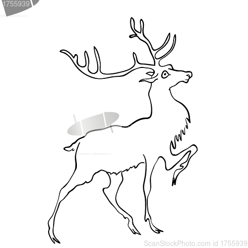Image of Vector drawing of deer