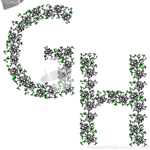 Image of Hand drawing ornamental alphabet. Letter GH