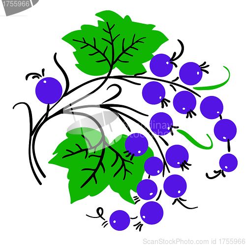 Image of Bunch of red currant. Ripe berry. Vector