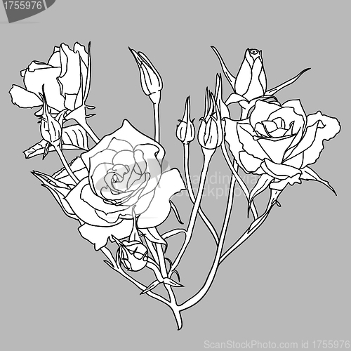 Image of floral design element and hand-drawn , vector illustration