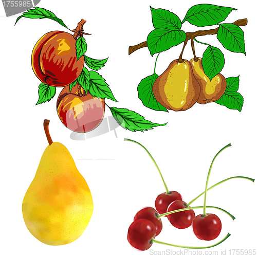 Image of set of pear fruits cherry and peach