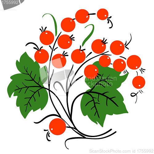 Image of Bunch of red currant. Ripe berry. Vector