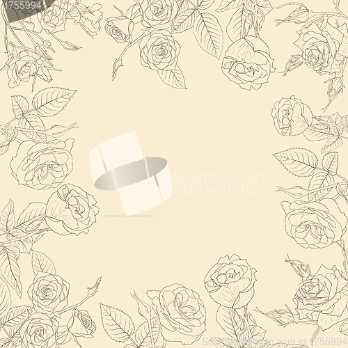 Image of Vector floral background, frame from flowers 