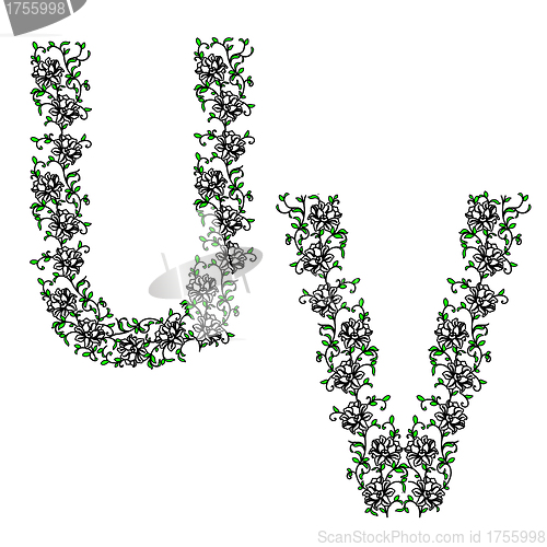 Image of Hand drawing ornamental alphabet. Letter UV