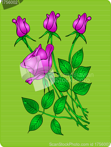 Image of Beautiful red rose, vector illustration