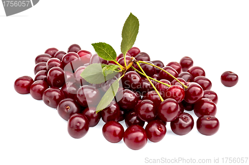 Image of Cherry bunch