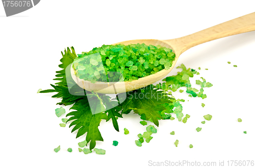 Image of Salt of the green on the spoon with nettle