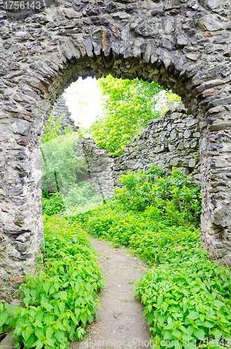 Image of The ruins of Nevitsky castle 