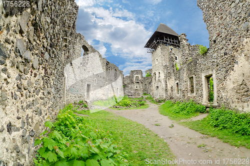 Image of The ruins of Nevitsky castle 