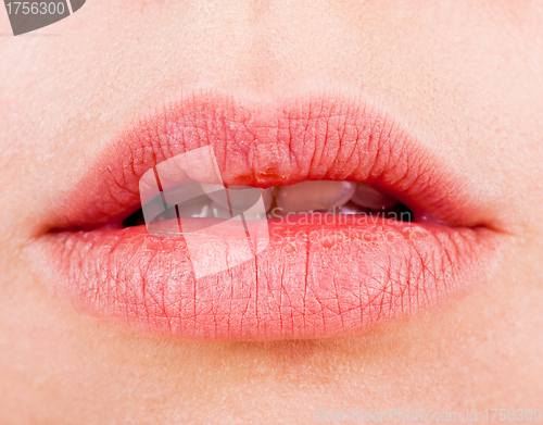 Image of Natural women's sensual lips closeup