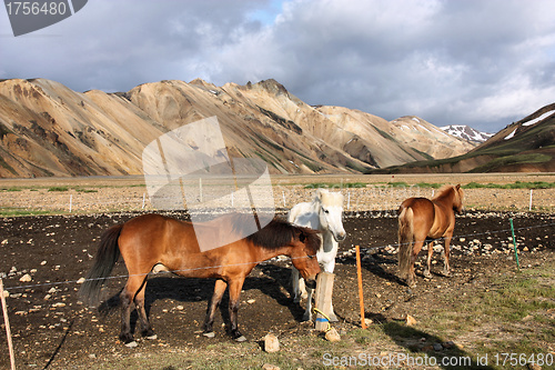 Image of Iceland