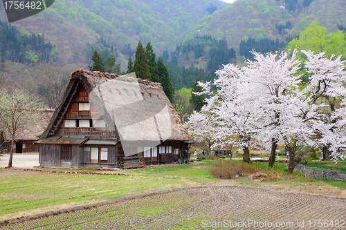 Image of Shirakawa-go, Japan
