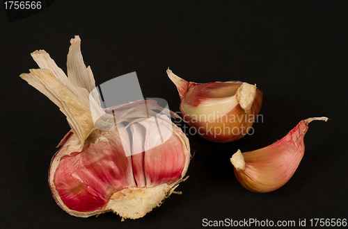 Image of Garlic bulb and cloves