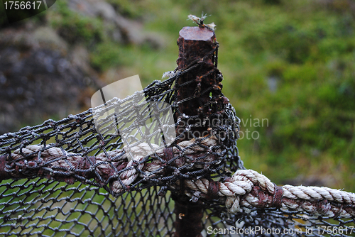 Image of Fishing nets