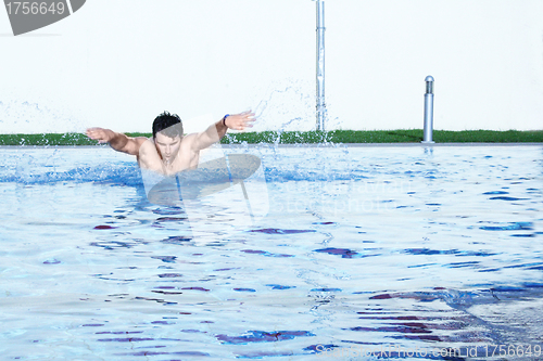 Image of a butterfly hobby swimmer in action