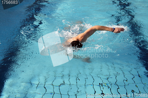 Image of hobby swimmer swim the crawl in pool