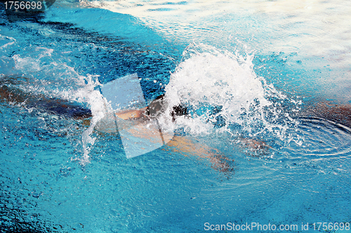 Image of swimming butterfly