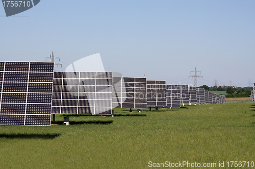 Image of solar plants in the rows