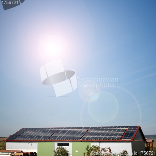 Image of solar plants in the house during sunny weather