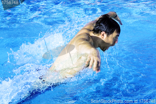 Image of hobby butterfly swimmer in pool