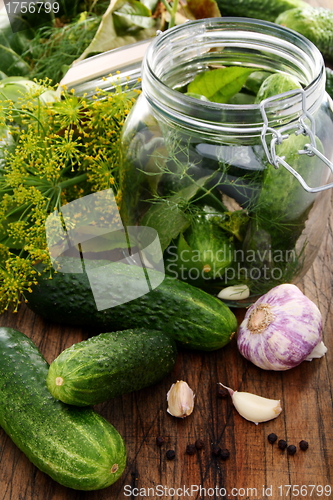 Image of Pickling cucumbers.